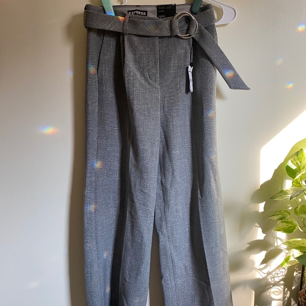 Express Wide Leg Dress Pant